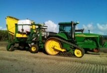 Maalacan Double Row Sugar Cane Billet Planter